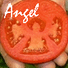 tomatoangel