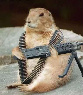 Armed groundhog