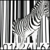 Barcoded Zebra